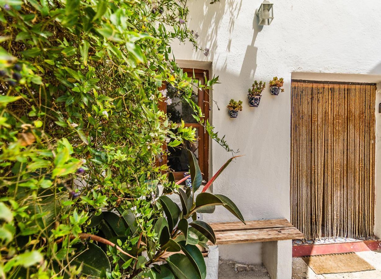 Casa Mundo - 16Th Century Traditional White Village House With Pool Pinos del Valle Buitenkant foto